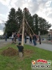 20240430baum 36
